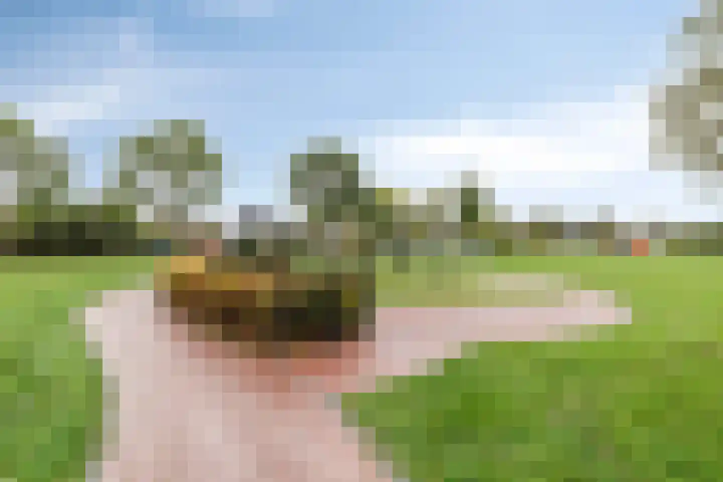 Guldenroede 3 Halsteren thumbnail 73