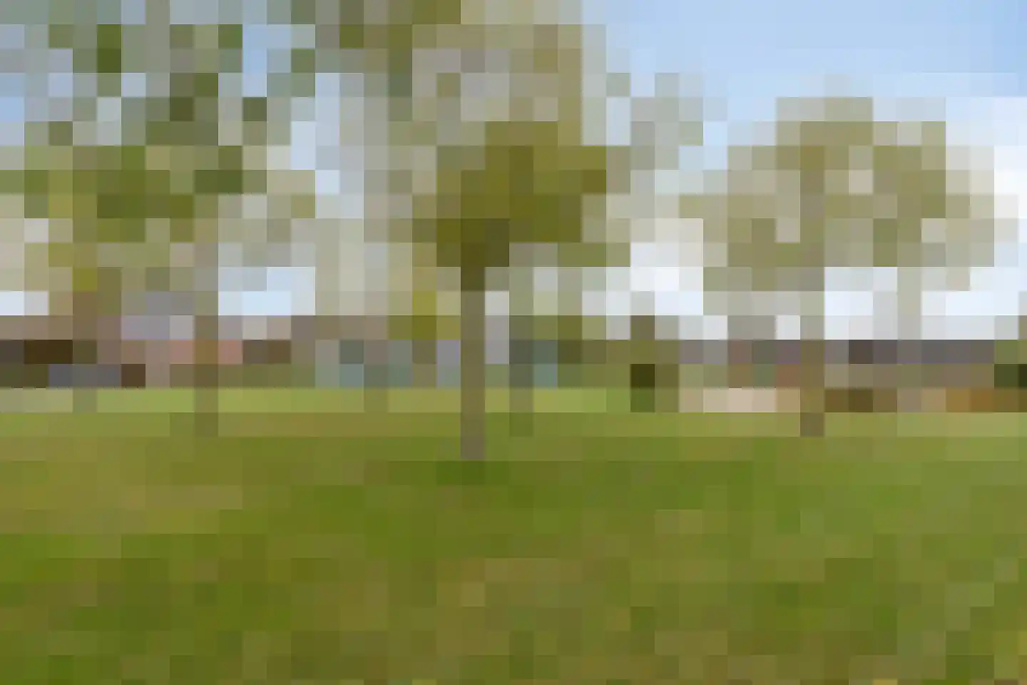 Guldenroede 3 Halsteren thumbnail 74