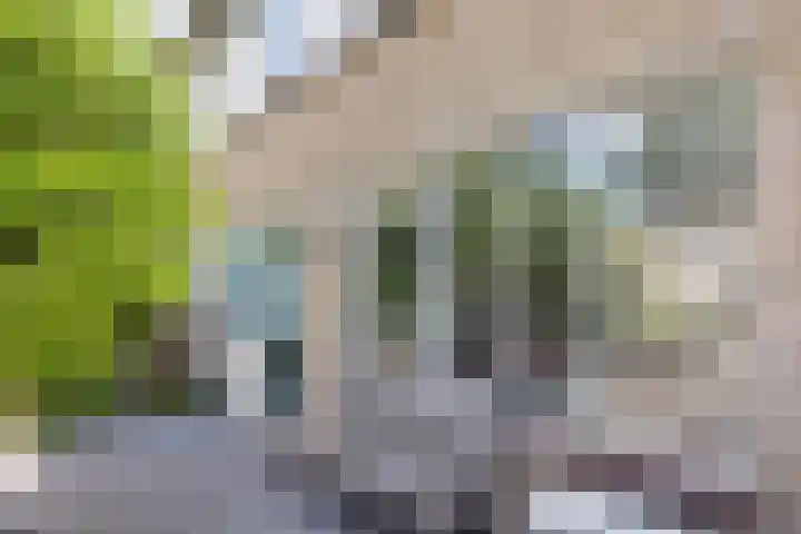 Guldenroede 3 Nieuwegein thumbnail 45