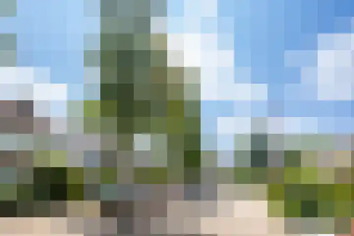 Guldenroede 3 Nieuwegein thumbnail 48