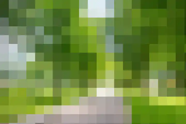 Guldenroede 3 Nieuwegein thumbnail 49