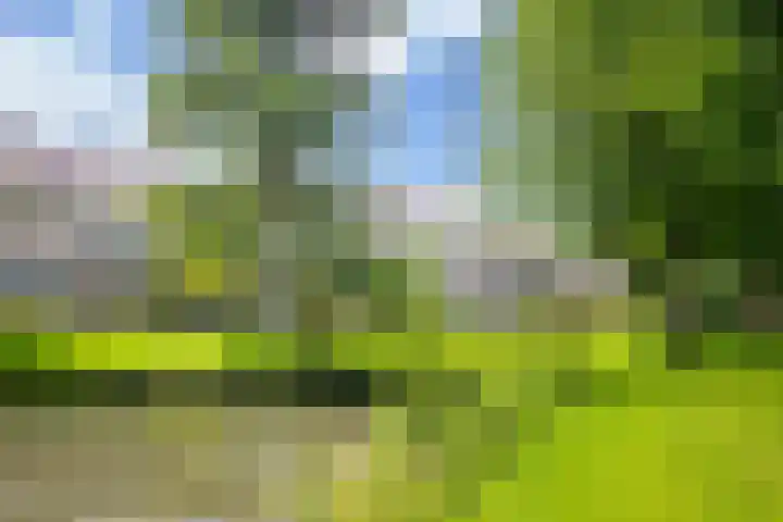 Guldenroede 3 Nieuwegein thumbnail 50