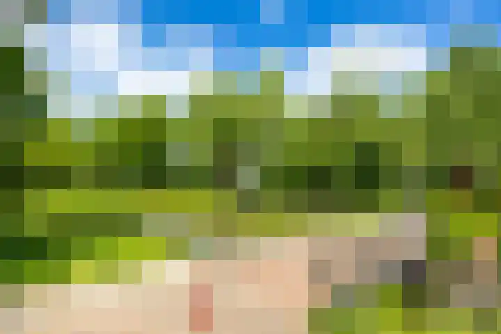 Guldenroede 3 Nieuwegein thumbnail 51