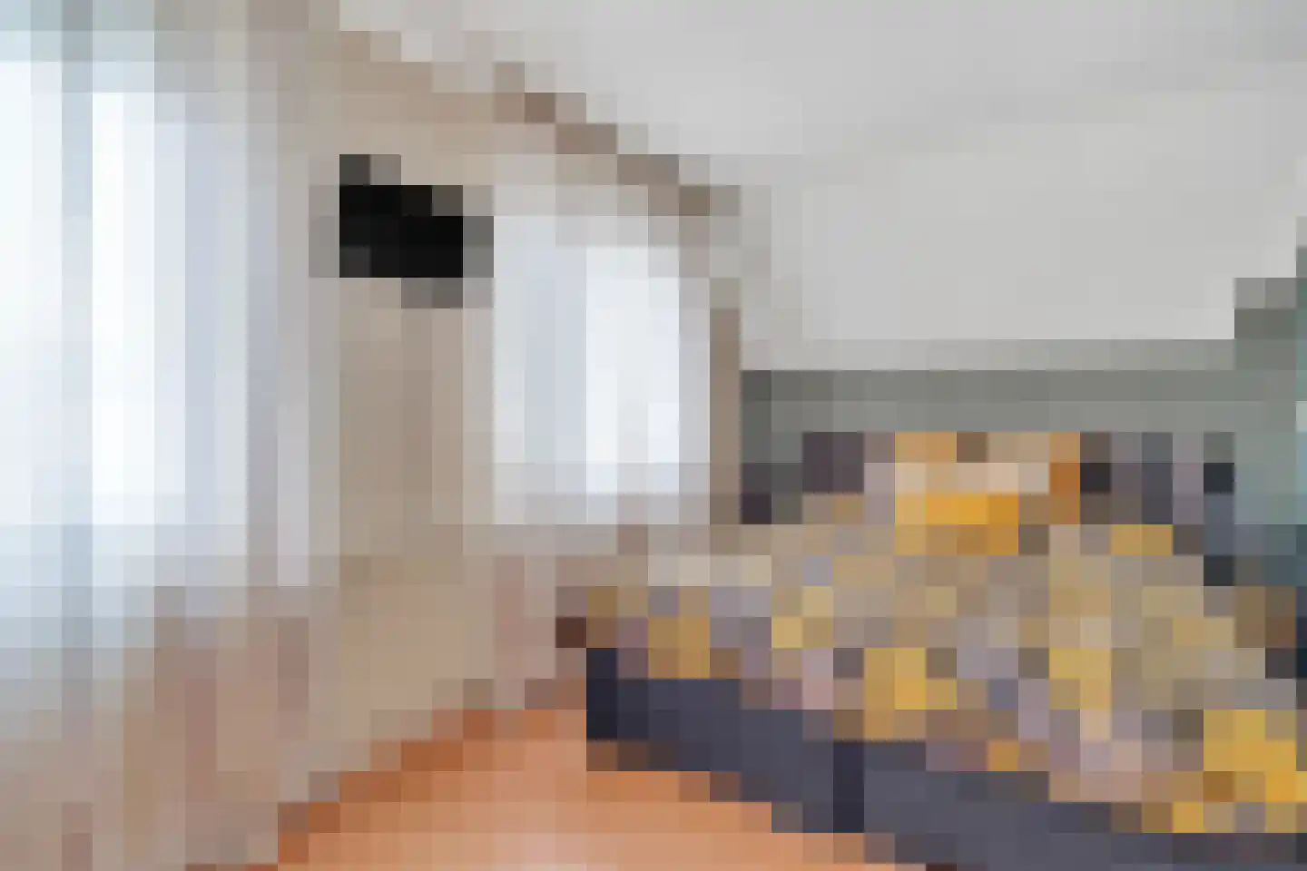 Guldenroede 3 Nijverdal thumbnail 12
