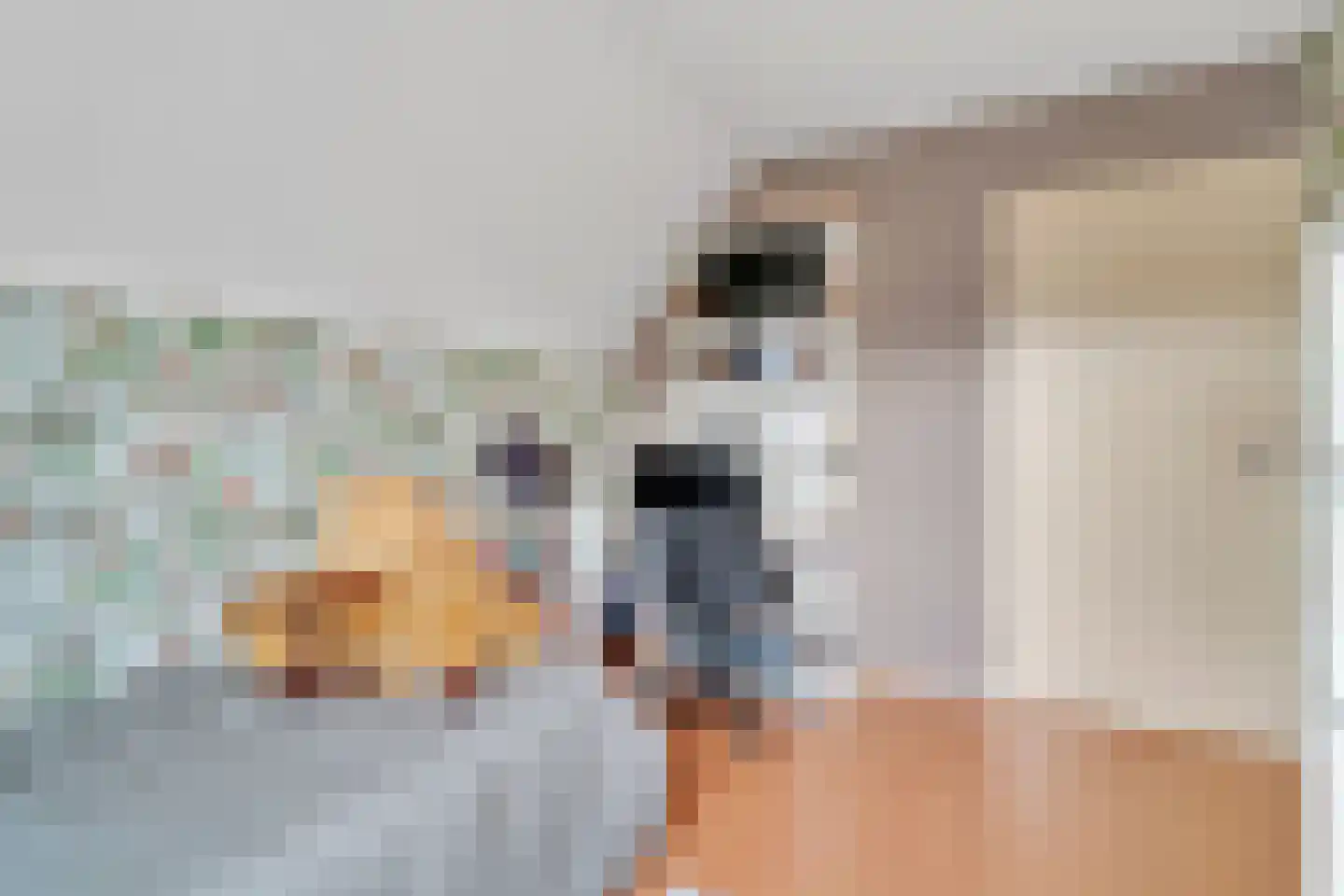 Guldenroede 3 Nijverdal thumbnail 17