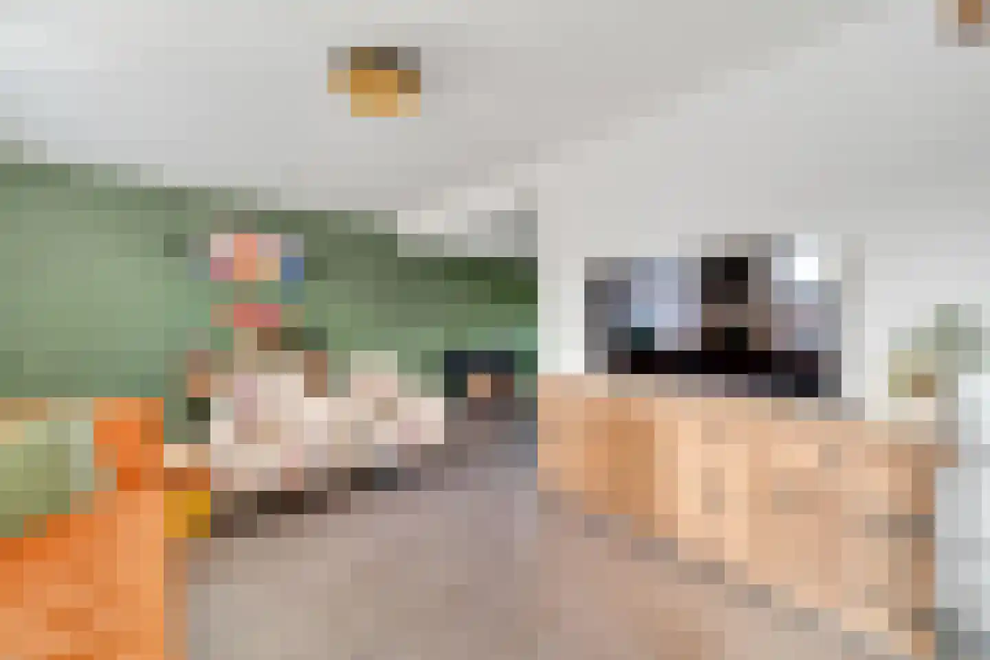 Guldenroede 3 Nijverdal thumbnail 5