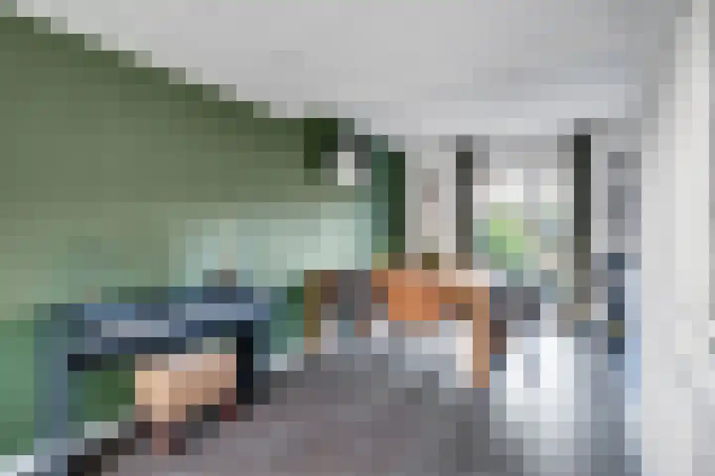 Guldenroede 3 Nijverdal thumbnail 6