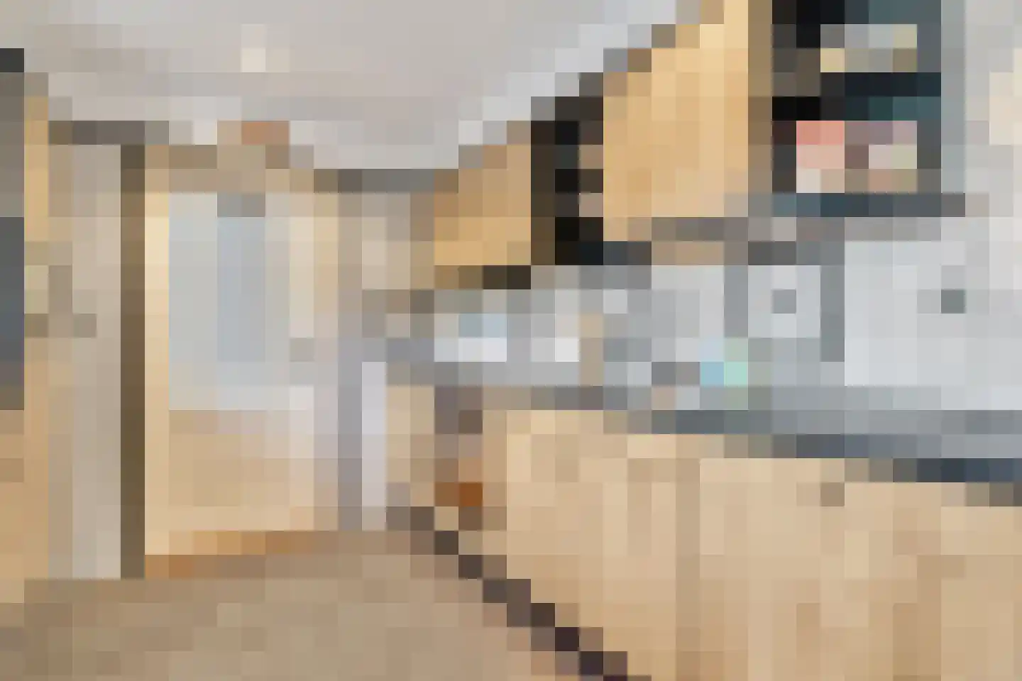Guldenroede 3 Nijverdal thumbnail 7