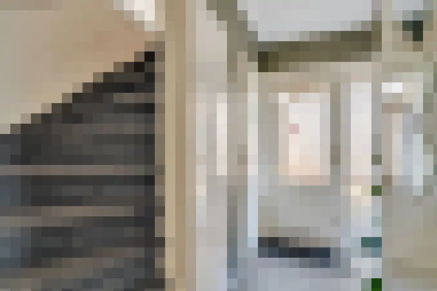 Guldenroede 3 Nijverdal thumbnail 9