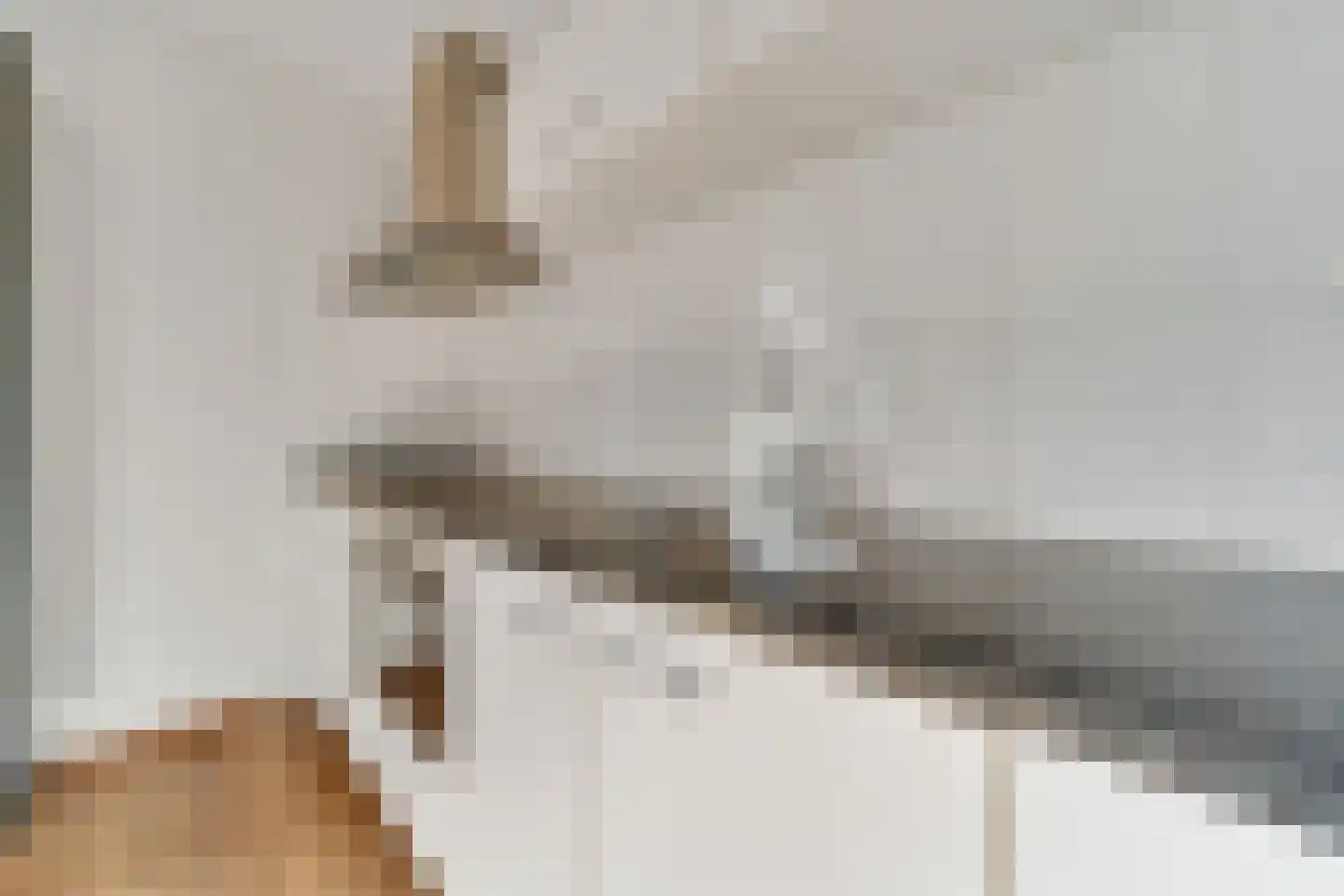 Guldenroede 4 Nijverdal thumbnail 10