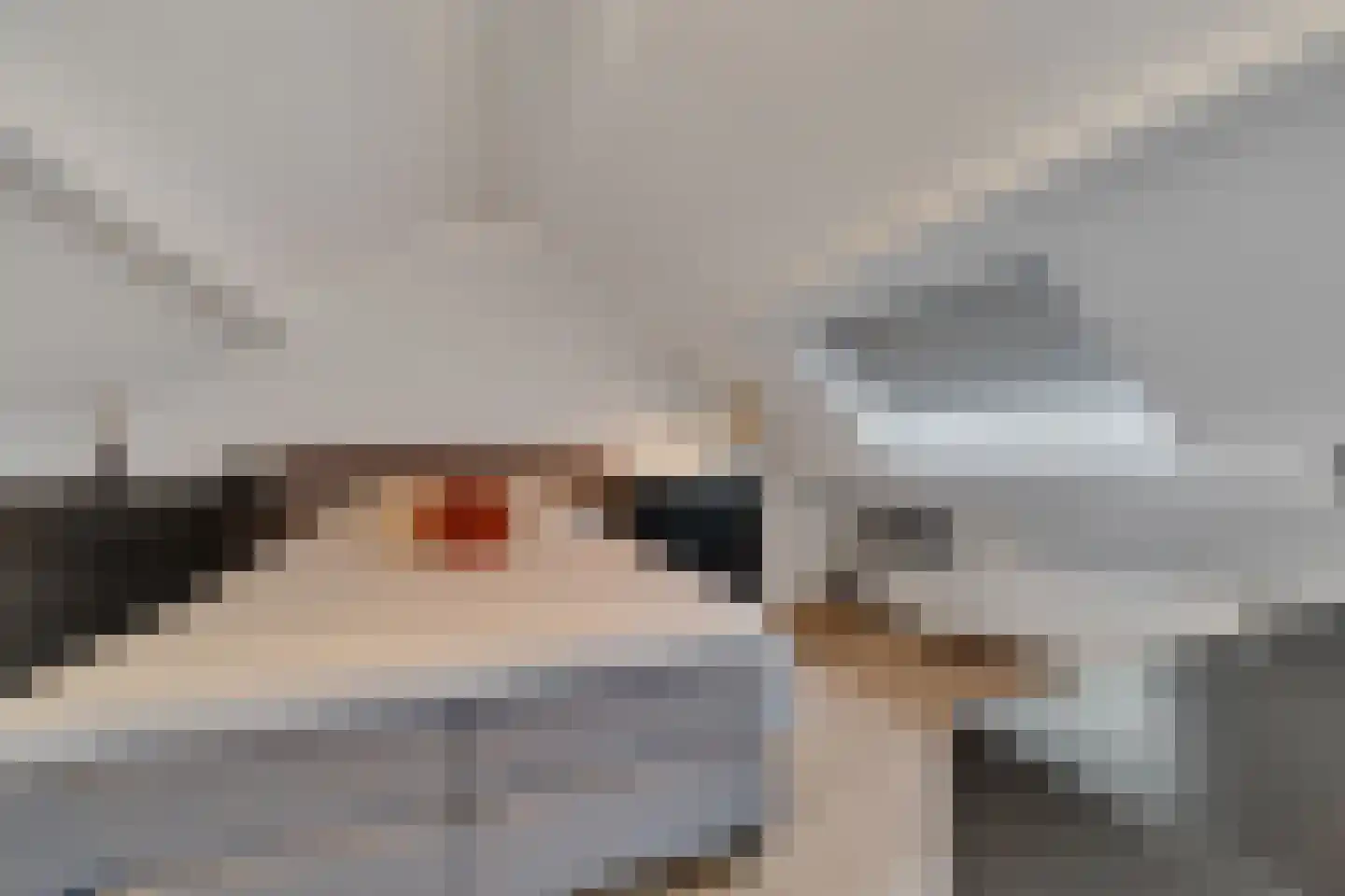Guldenroede 4 Nijverdal thumbnail 22