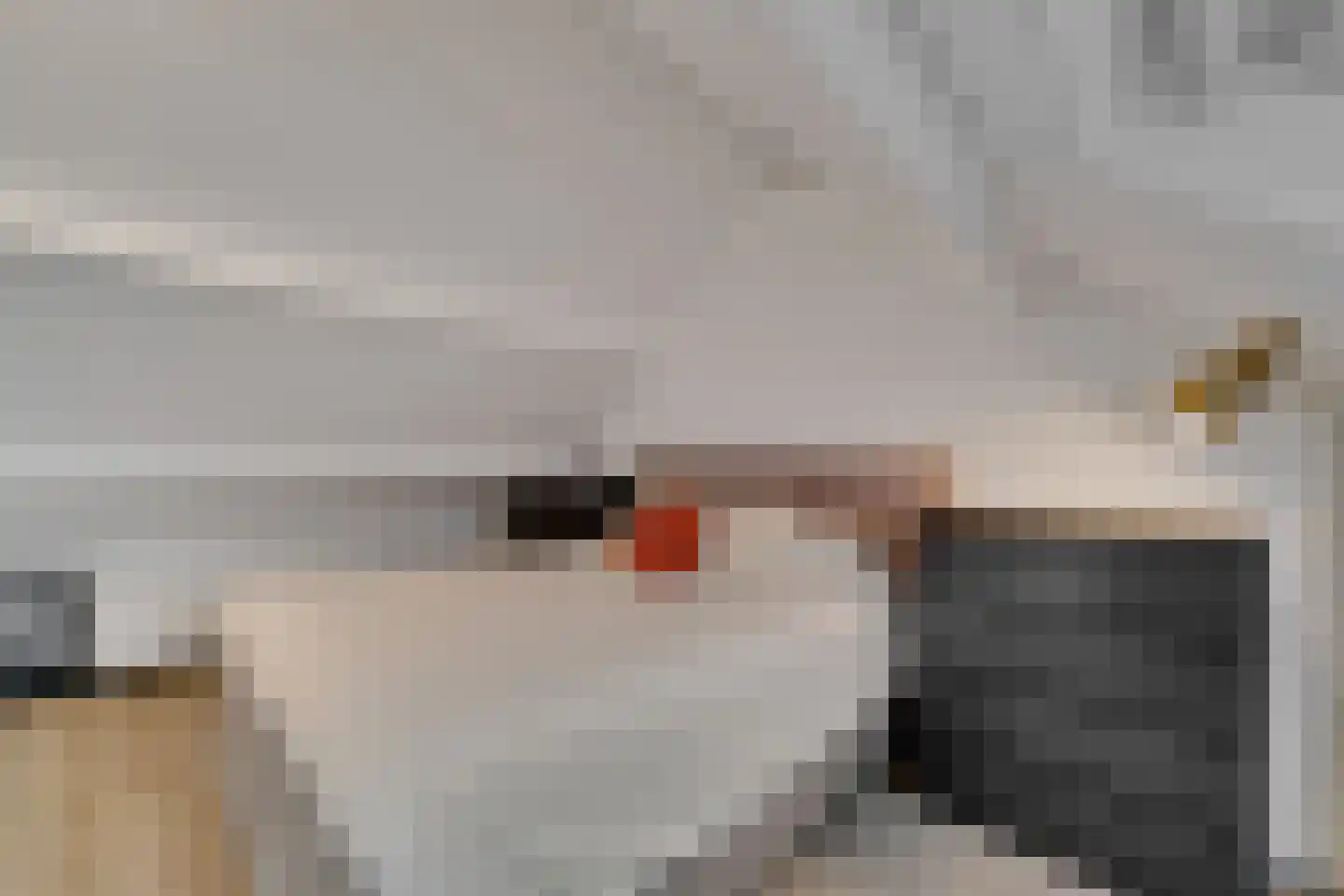Guldenroede 4 Nijverdal thumbnail 23