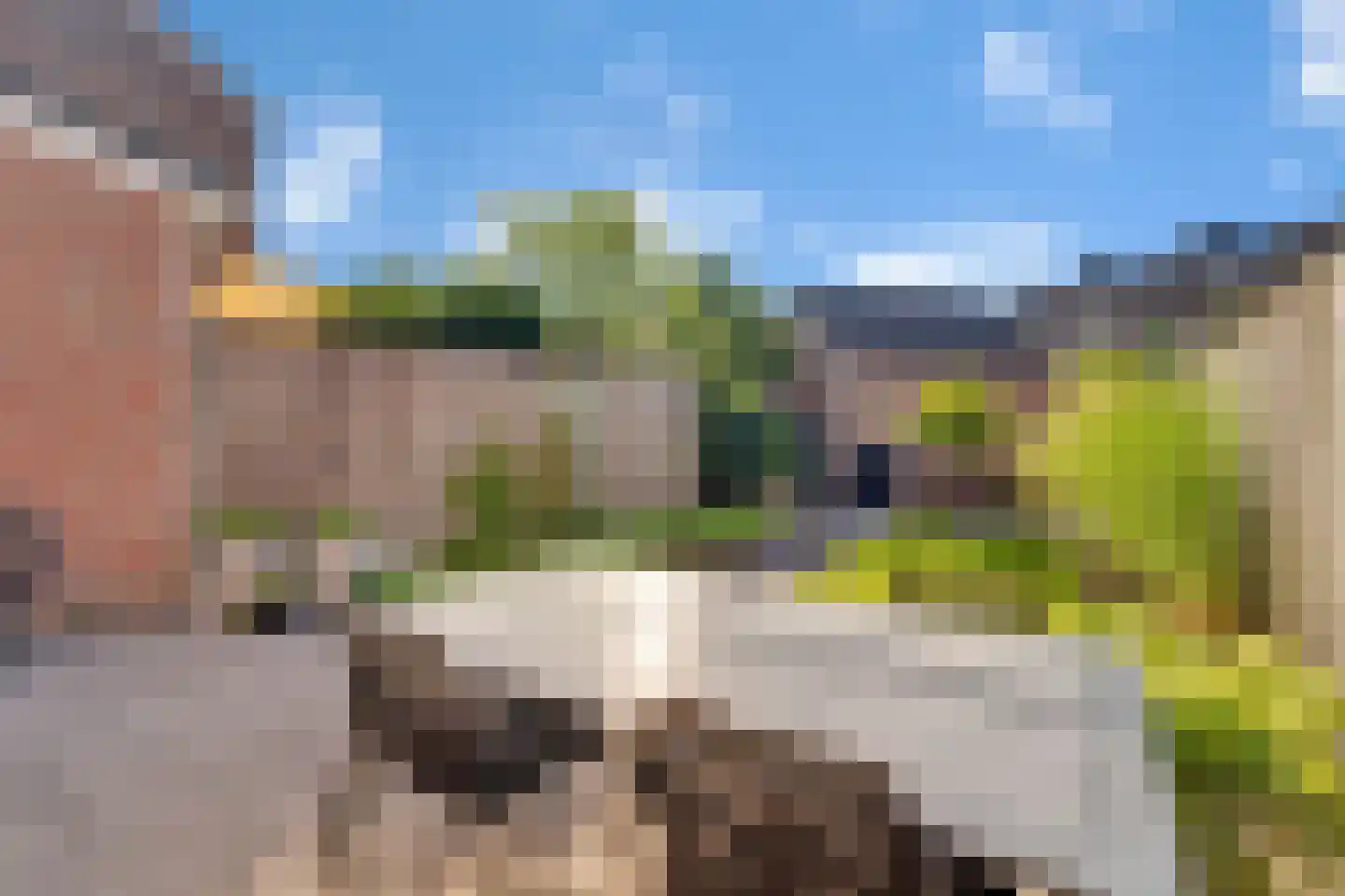 Guldenroede 4 Nijverdal thumbnail 25