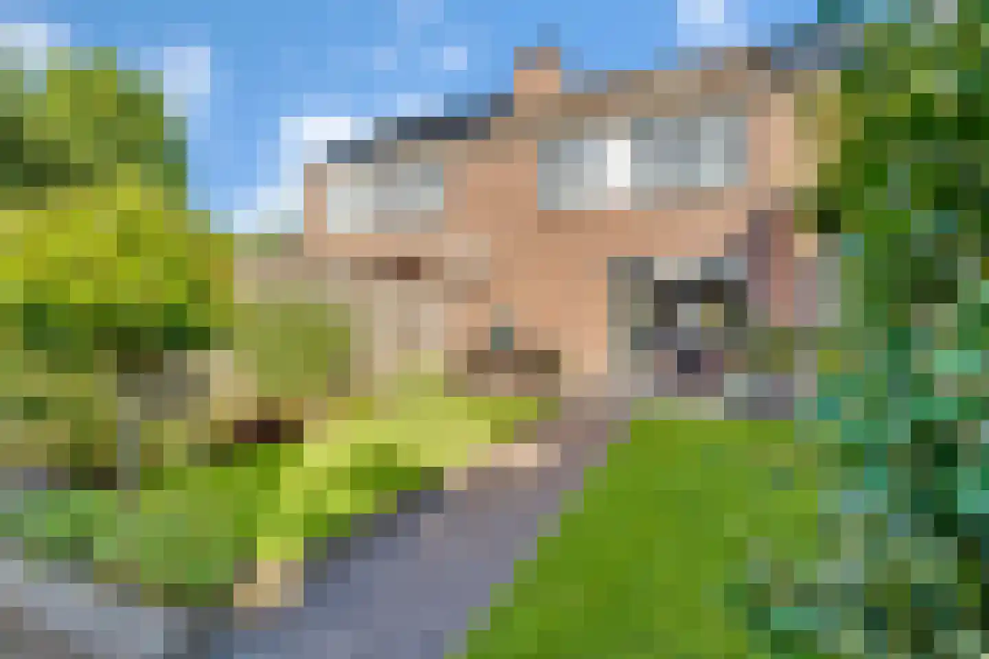 Guldenroede 4 Nijverdal thumbnail 27