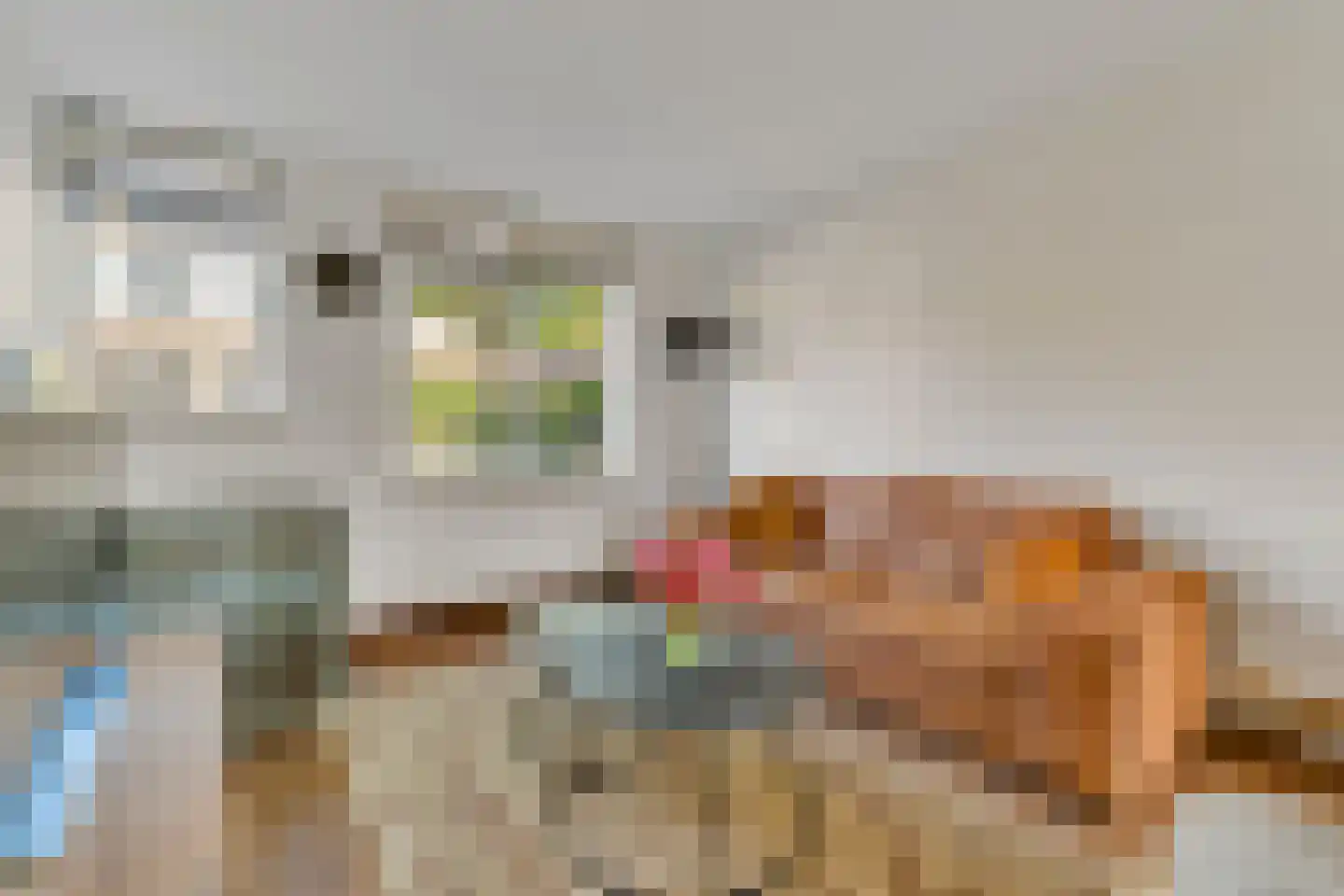 Guldenroede 4 Nijverdal thumbnail 4