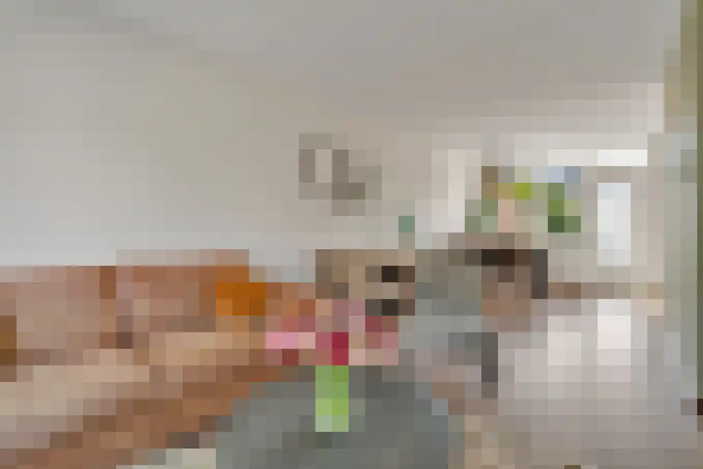 Guldenroede 4 Nijverdal thumbnail 5