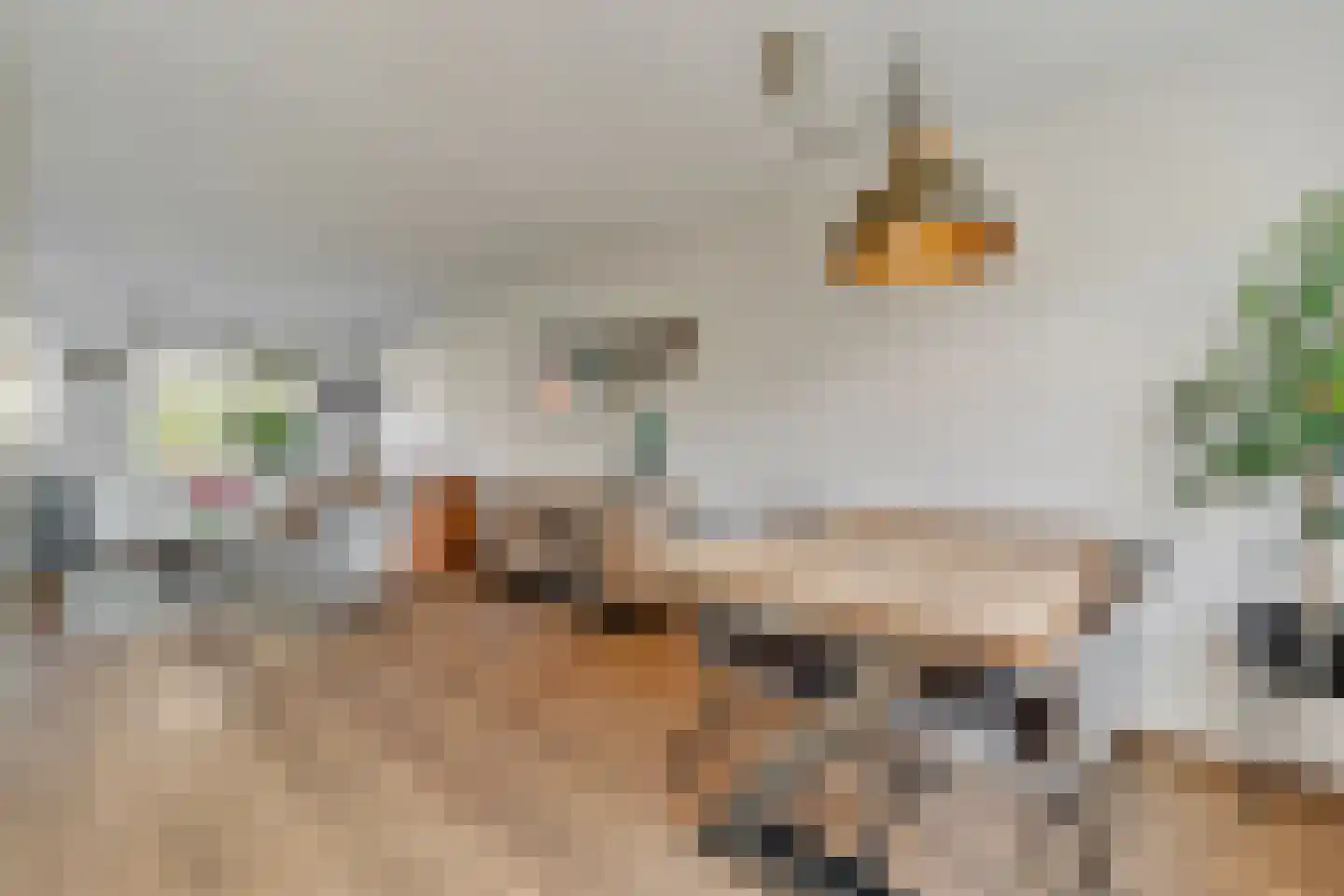 Guldenroede 4 Nijverdal thumbnail 7