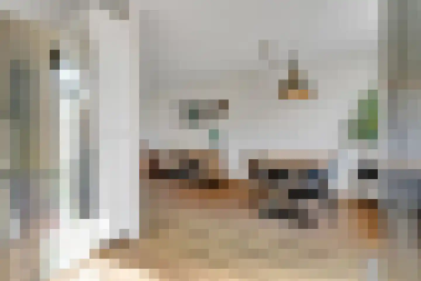 Guldenroede 4 Nijverdal thumbnail 8