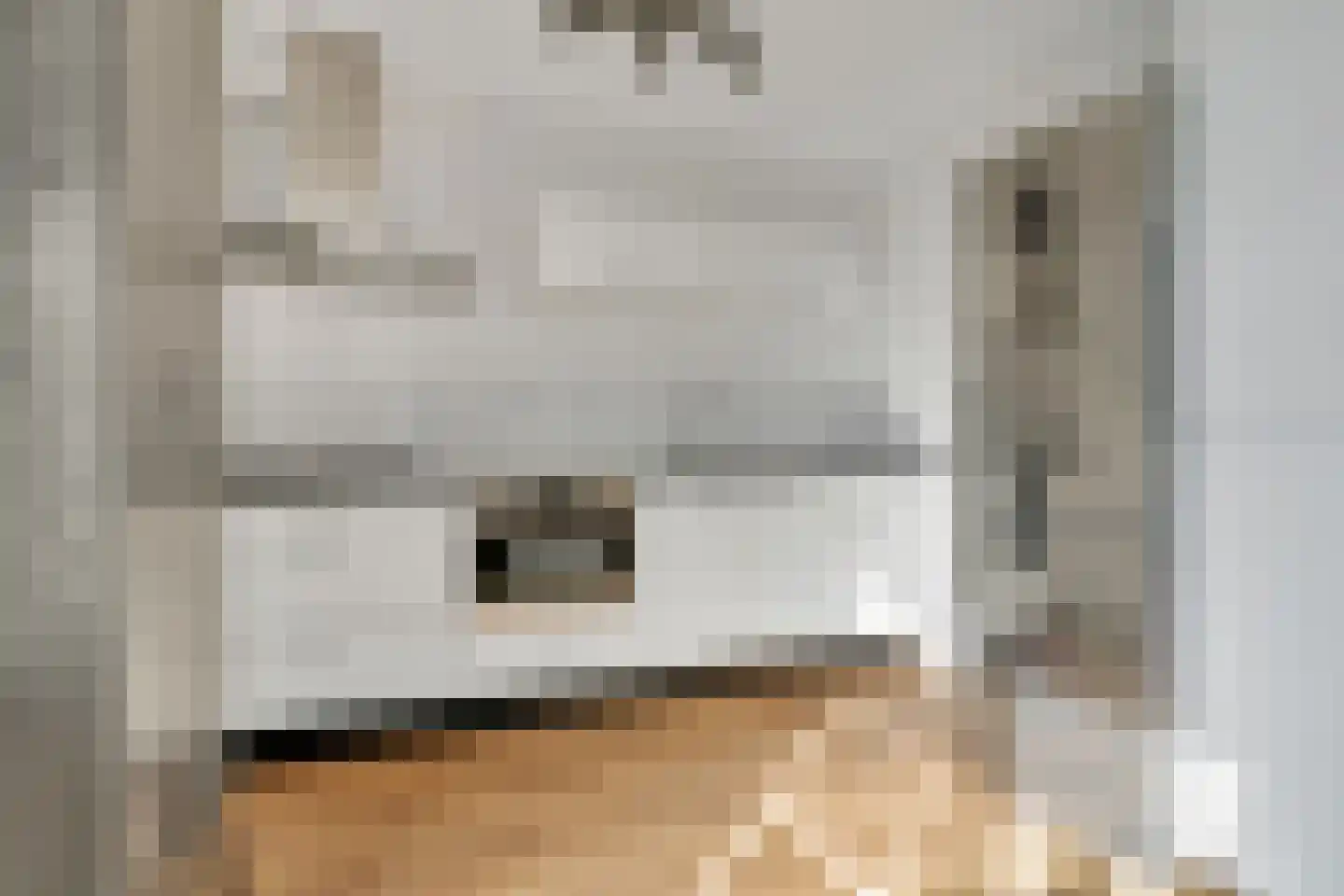 Guldenroede 4 Nijverdal thumbnail 9