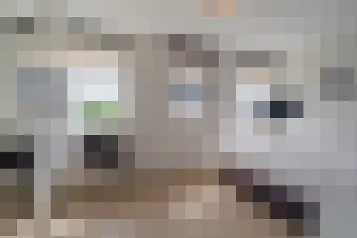 Guldenroedelaan 22 Amstelveen thumbnail 21