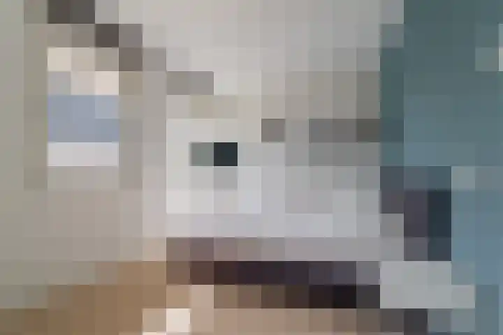Guldenroedelaan 22 Amstelveen thumbnail 22