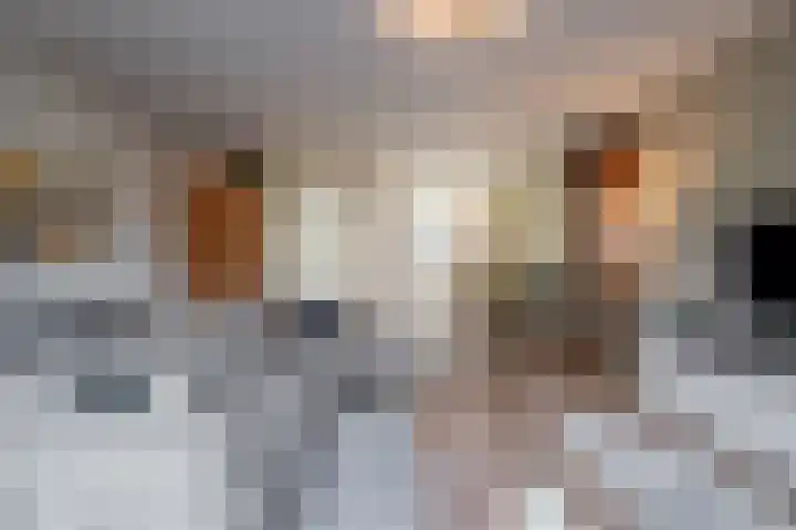 Guldenroedelaan 22 Amstelveen thumbnail 7