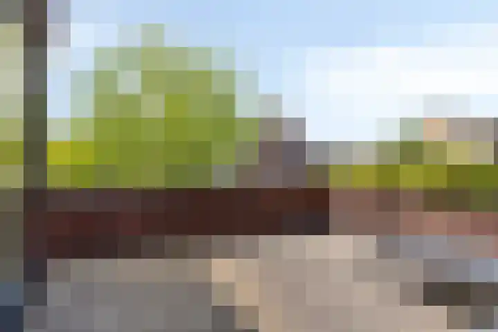 Guldenroedestraat 1 Heinkenszand thumbnail 24