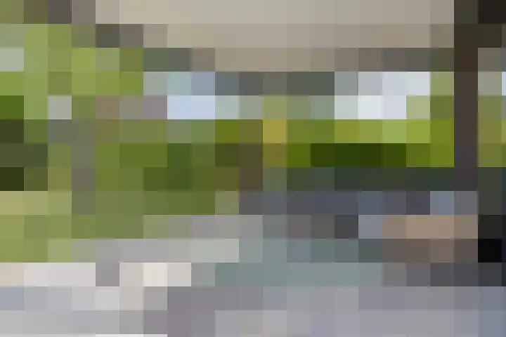 Guldenroedestraat 1 Heinkenszand thumbnail 33