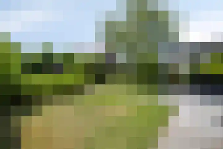 Guldenroedestraat 1 Heinkenszand thumbnail 35