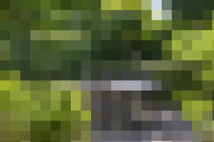 Guldenroedestraat 1 Heinkenszand thumbnail 36