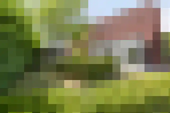 Guldenroedestraat 1 Heinkenszand thumbnail 37