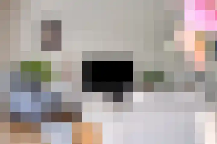 Guldenroedestraat 1 Heinkenszand thumbnail 5