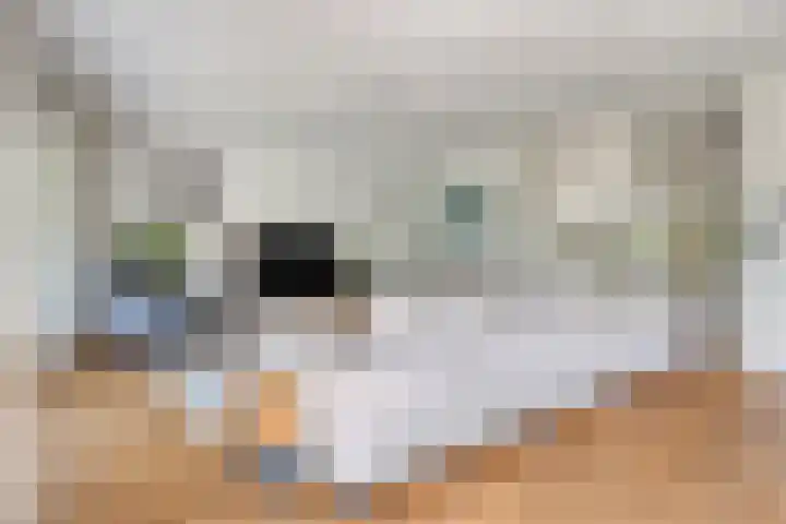 Guldenroedestraat 1 Heinkenszand thumbnail 6