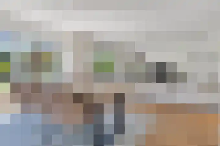 Guldenroedestraat 1 Heinkenszand thumbnail 8