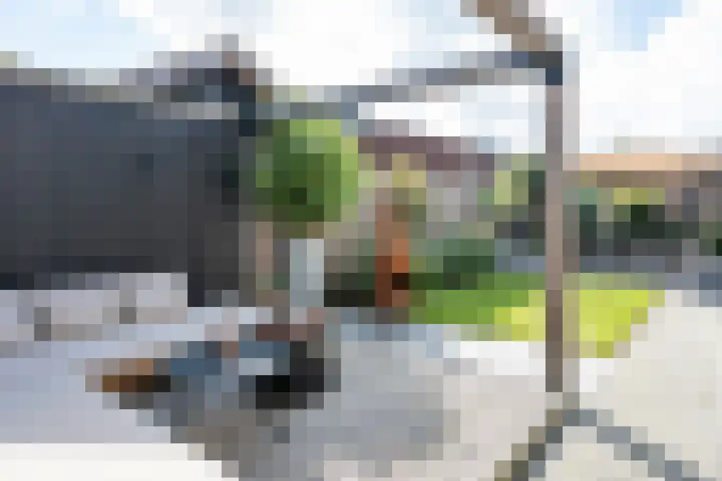 Guldenroedetuin 19 Emmen thumbnail 33