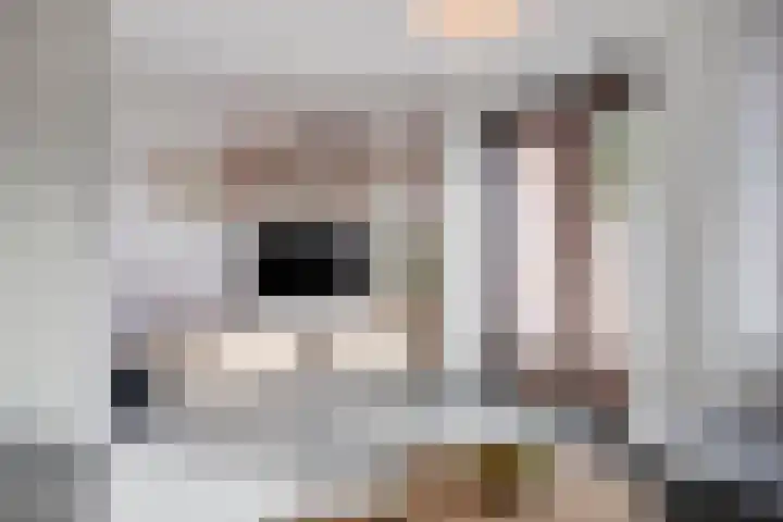 Guldenstraat 24 Eindhoven thumbnail 17
