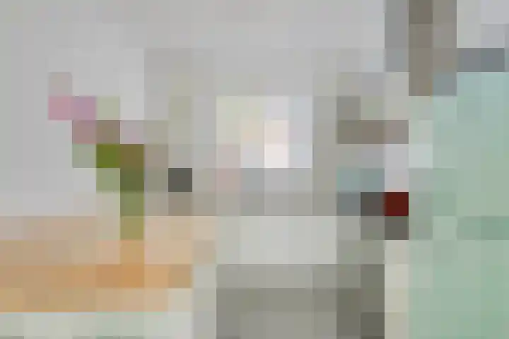 Guldenstraat 42 Eindhoven thumbnail 13