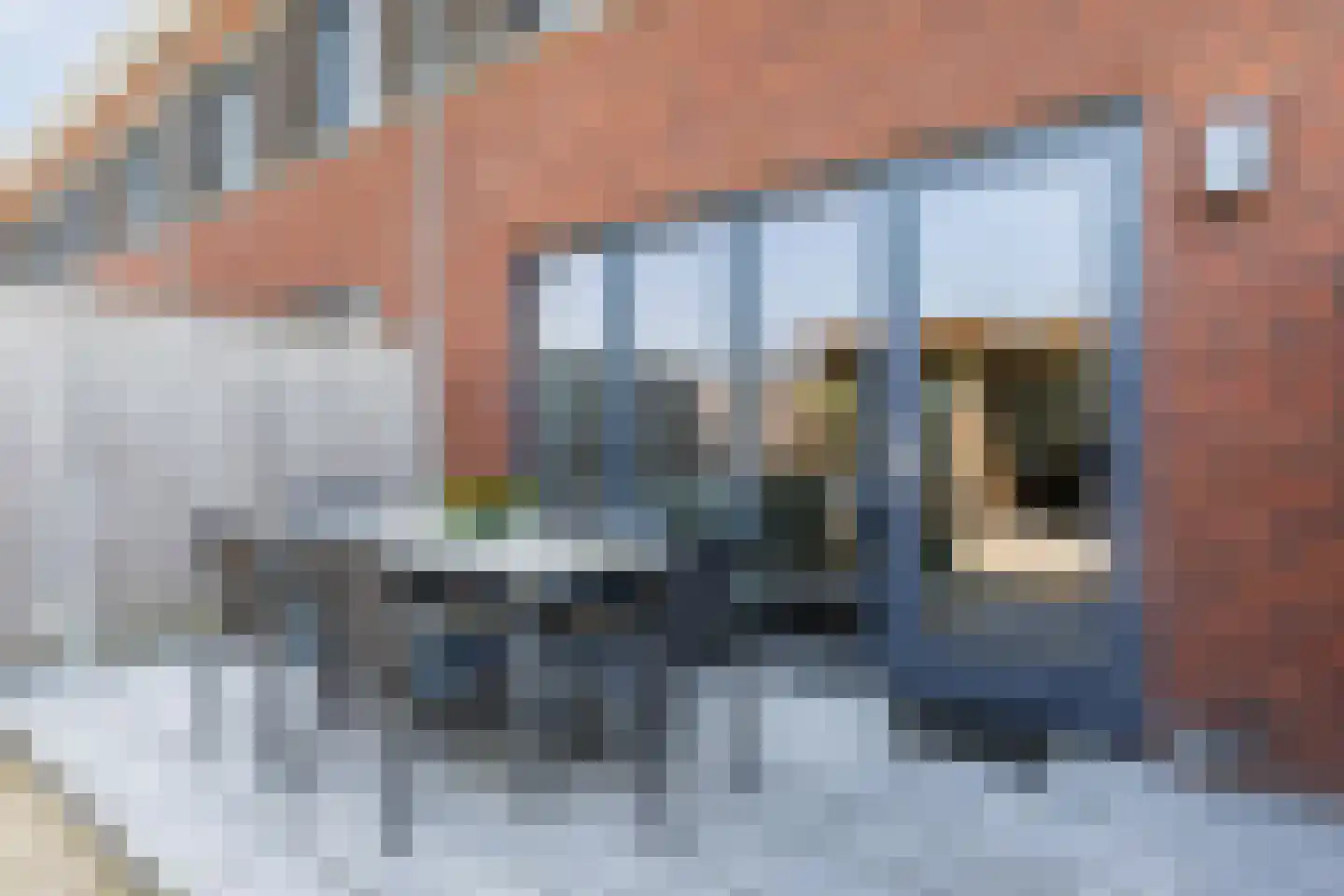 Gulderling 17 Andel thumbnail 26