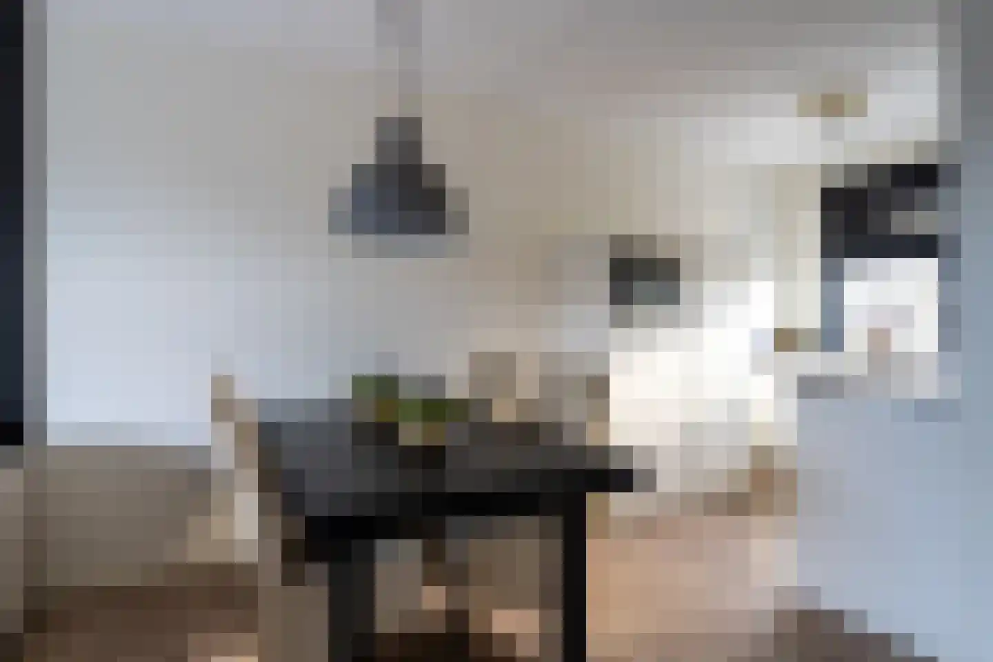 Gulderling 18 Andel thumbnail 12