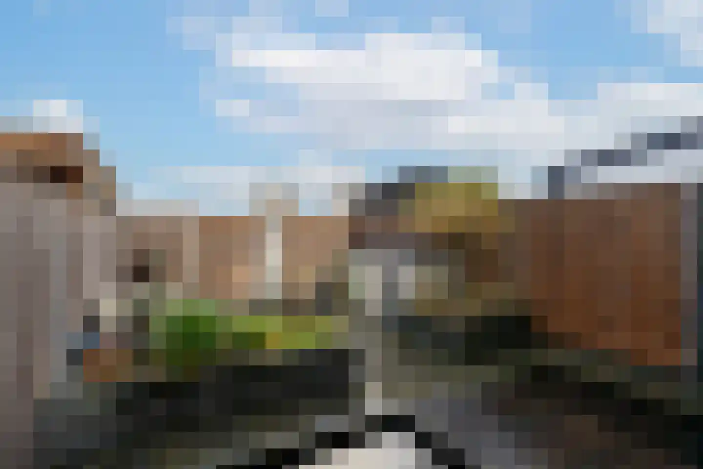 Gulderling 18 Andel thumbnail 27