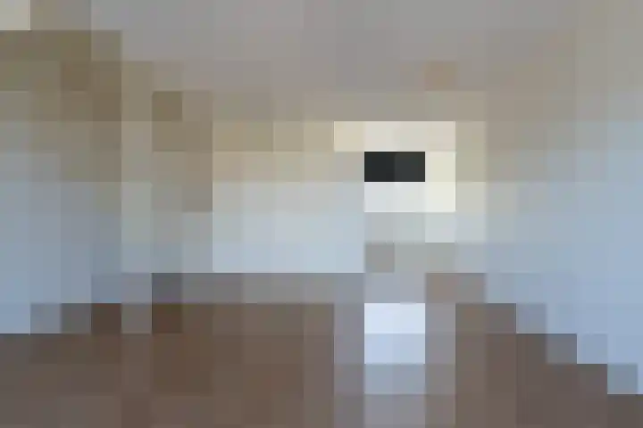 Gulderling 20 Andel thumbnail 10