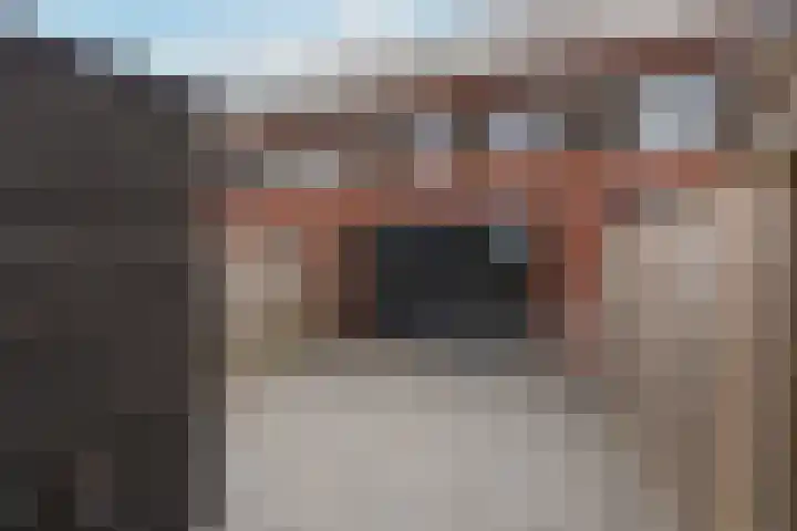 Gulderling 5 Andel thumbnail 28