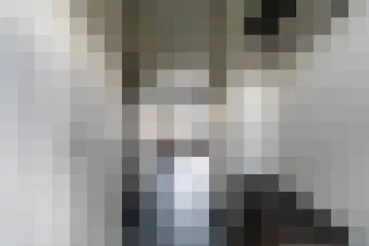 Gulderling 5 Andel thumbnail 6