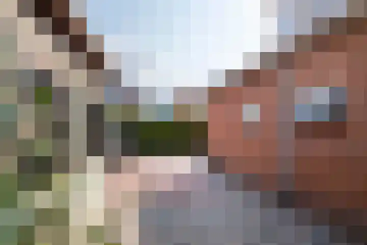 Gulhofstraat 34 Ophemert thumbnail 9