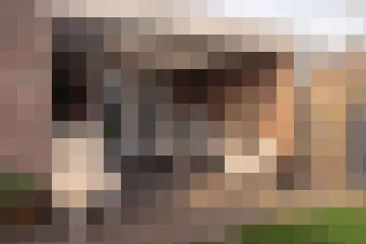 Gulickerstraat 10 Urmond thumbnail 24