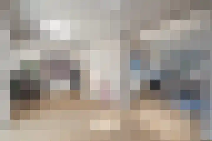 Gulickerstraat 3 Urmond thumbnail 7