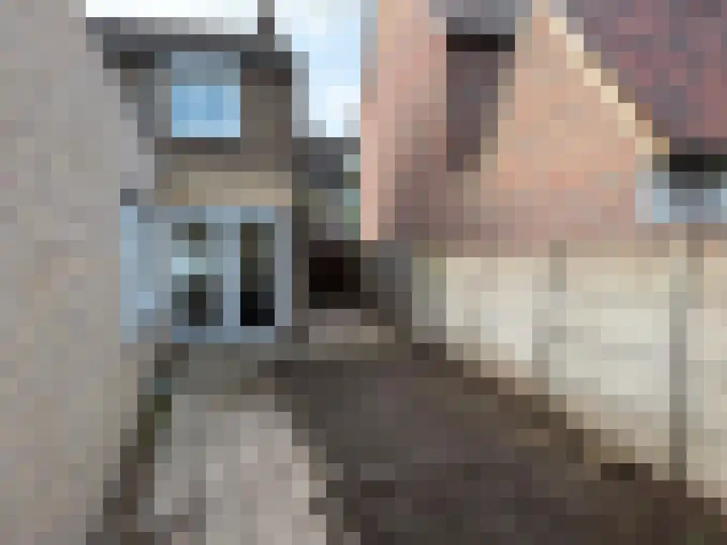 Gulicksestraat 19 Sittard thumbnail 13