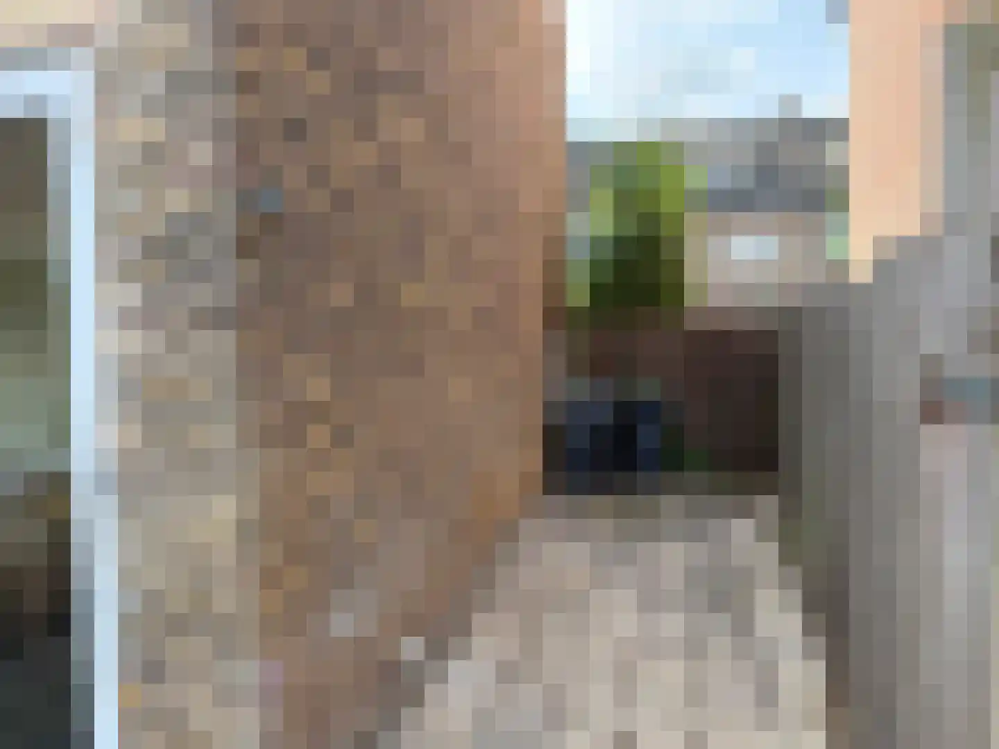 Gulicksestraat 19 Sittard thumbnail 14