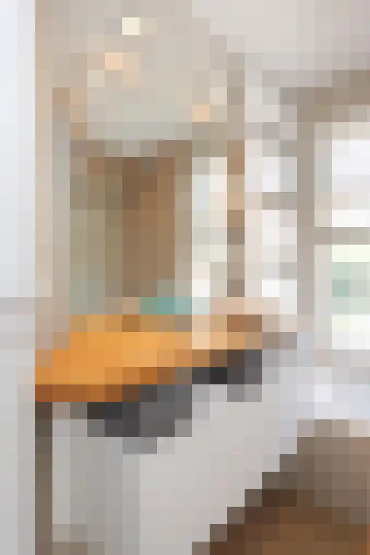 Gulicksestraat 42 Sittard thumbnail 31