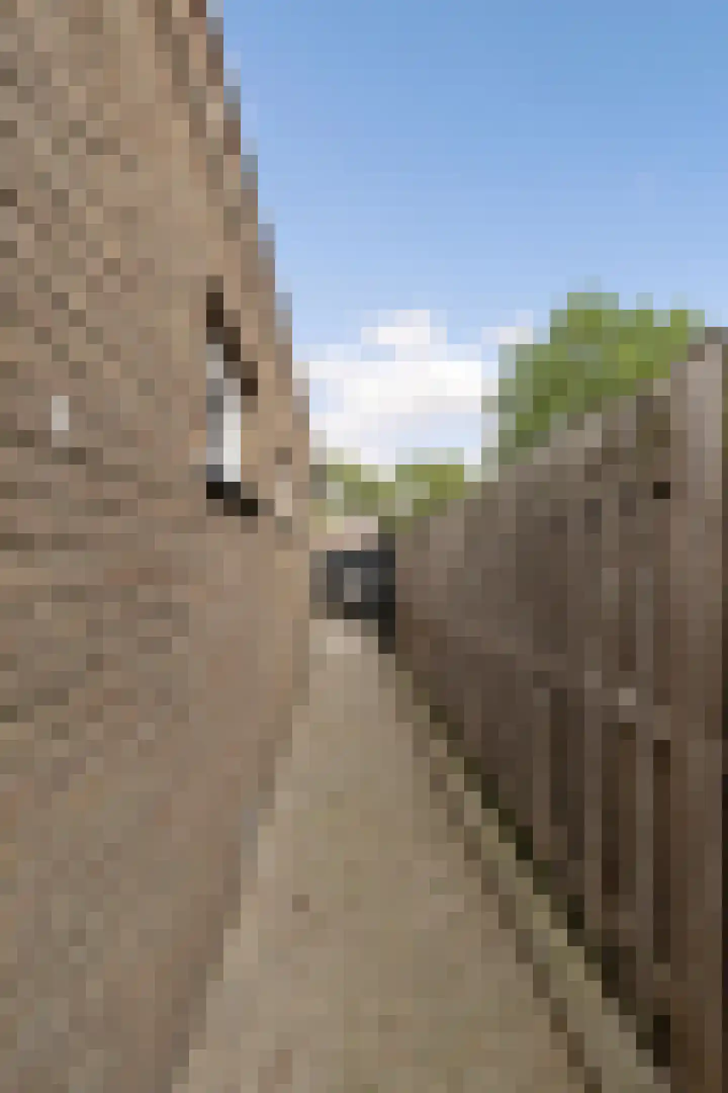 Gulicksestraat 44 Sittard thumbnail 15